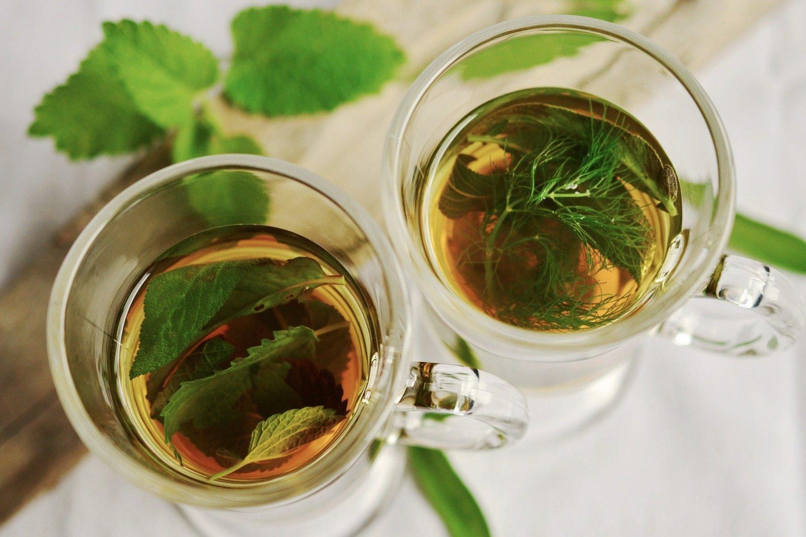 Andrographis Tea Guide to Making Andrographis Paniculata Tea, King of Bitters Tea ...