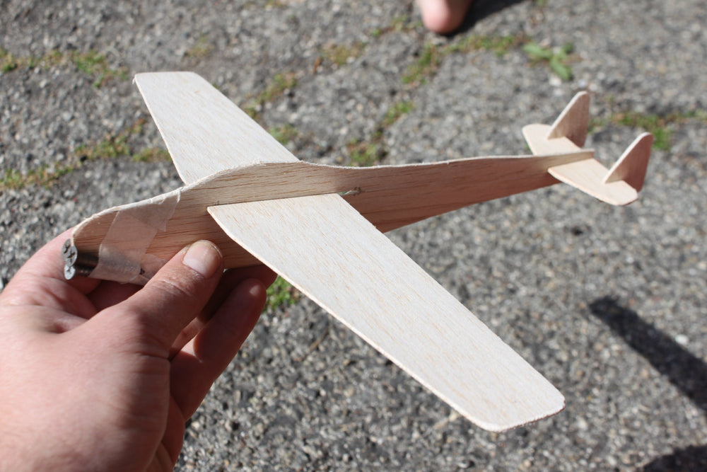 Buy World's lightest Wood, Balsa tree, (Ochroma...