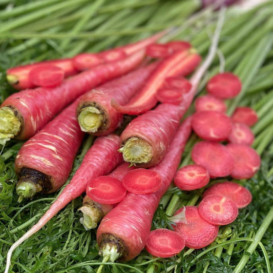 100 Pusa Rudhira Red Seeds , Rare Carrot Seed. Red Carrot Seeds. Exotic Red Carrot Seeds