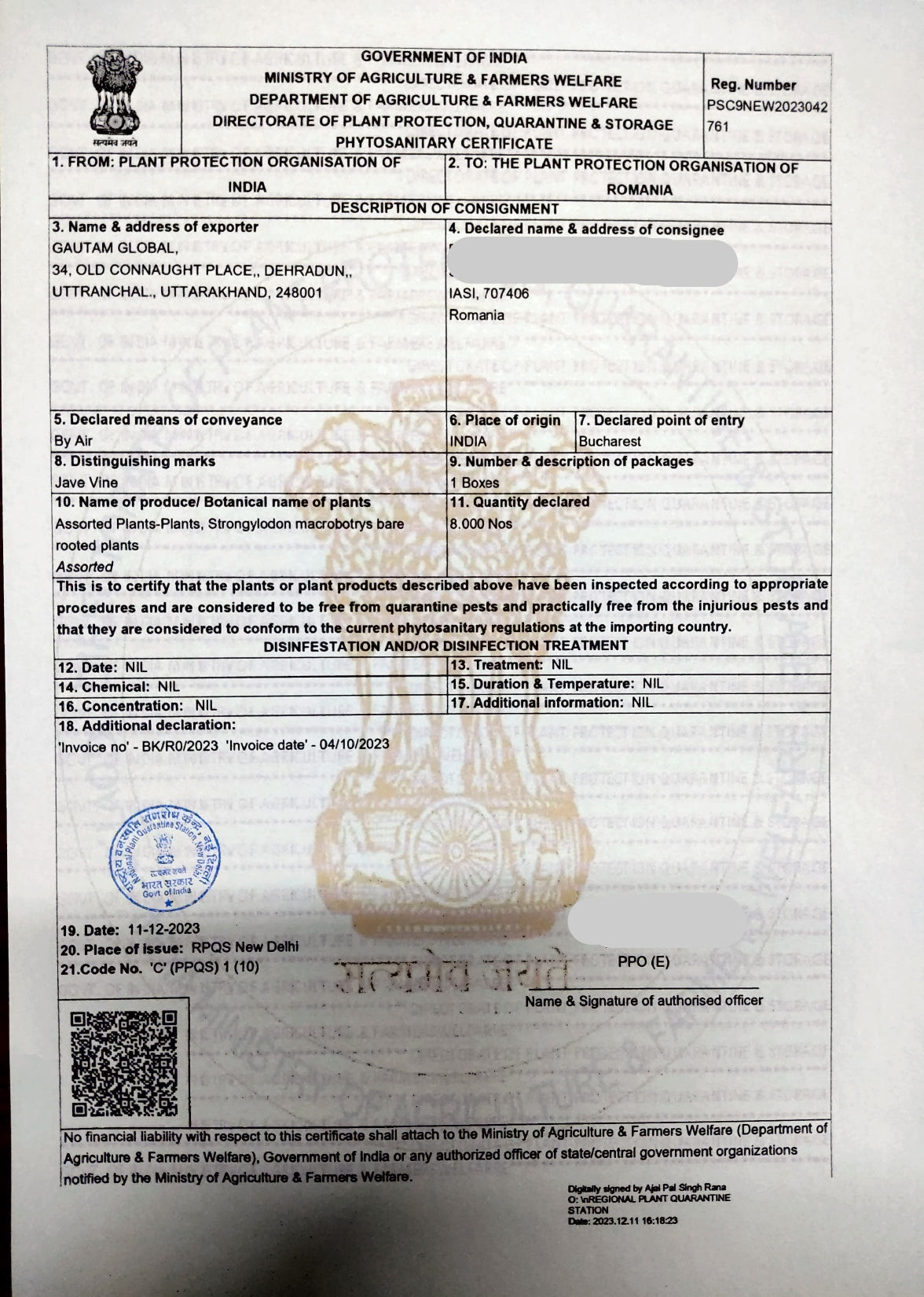 Plants  Phytosanitary Certificate Romania , Strongylodon macrobotrys