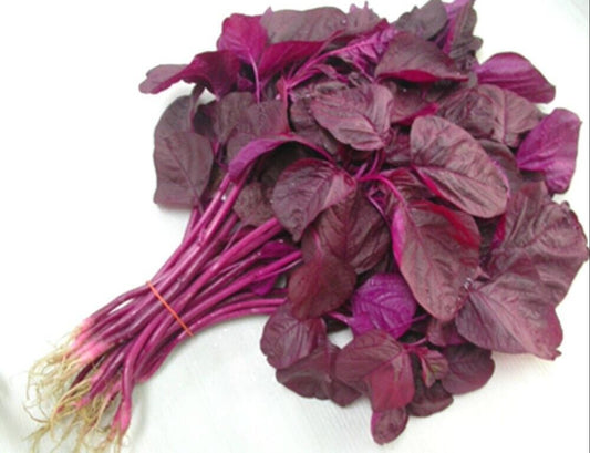 1000 Beetroot red spinach Seeds , Red Spinach , Red Amaranthus Seeds,