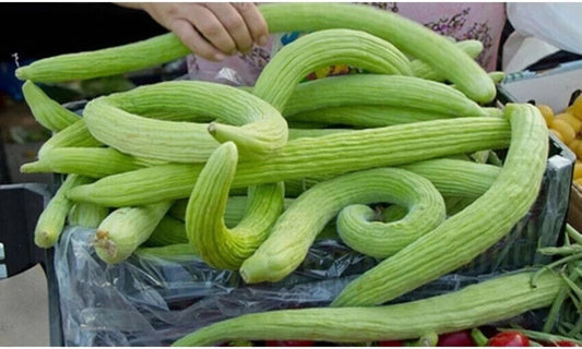 100 Cucumber Armenian Seeds , Yard long Cucumber, Snake Melon Seeds, Kakri Seeds