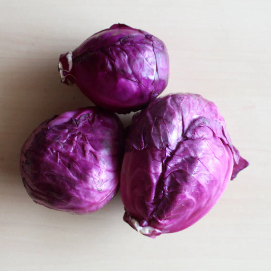 200 Red Cabbage Seeds, Purple Cabbage Seeds,  Non -Gmo Cabbage Seeds, Non Hybrid Seeds