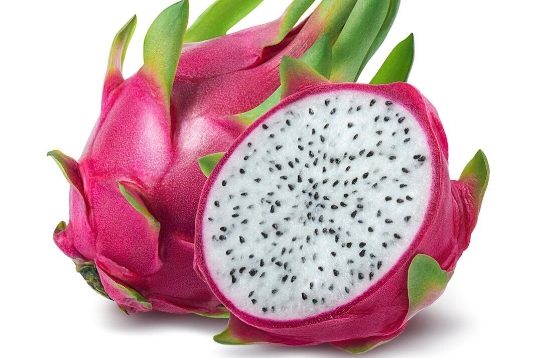 50 Hylocereus undatus  Seeds , Dragon Fruit Seeds,  Dragon Succulent Seeds, Pitahaya Seeds