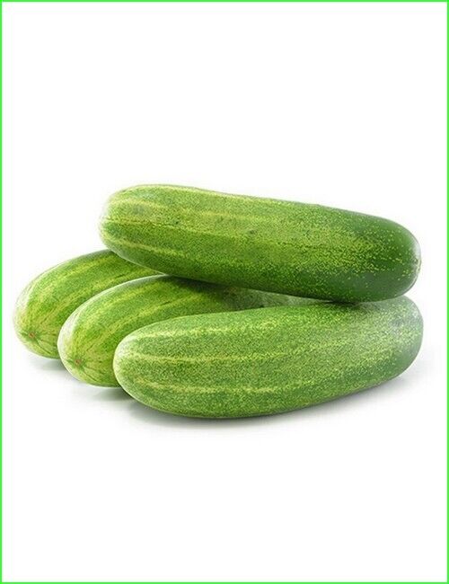 25 Long Cucumber Seeds, Non- Hybrid , Exotic Cucumber Seeds, Cucumber For Salads