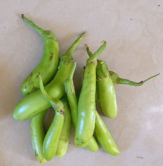 50 Green Brinjal Seeds,  Eggplant Non- Hybrid,  Non-Gmo Seeds, Aubergine  Long,